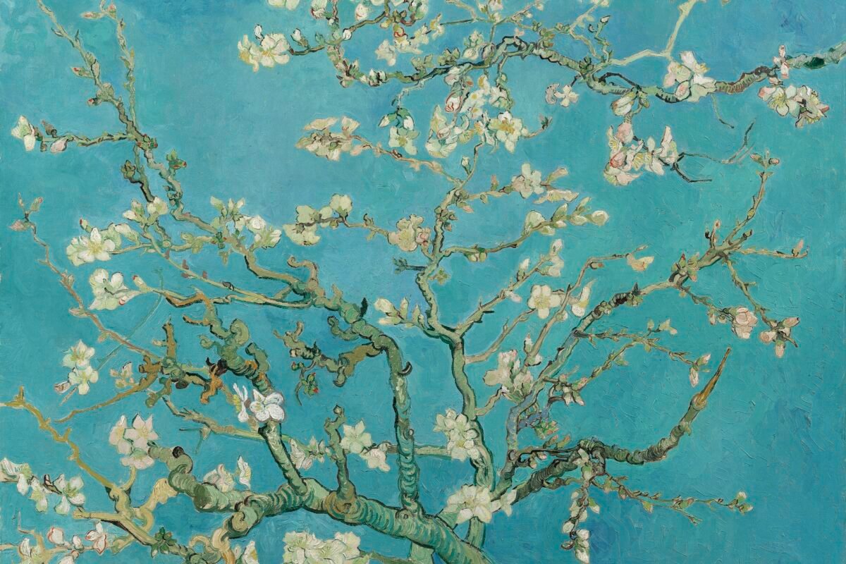 Vincent van Gogh’s Almond Blossoms, 1890