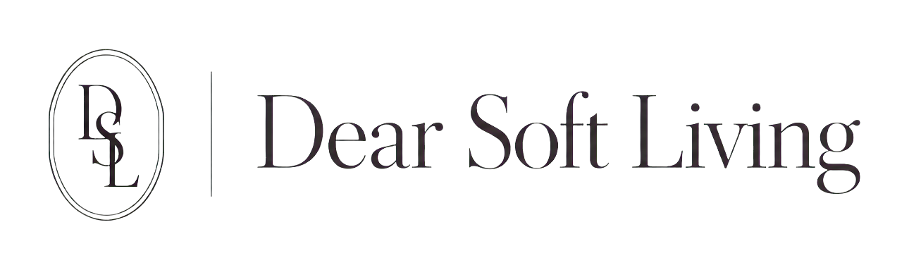 dsl logo web header
