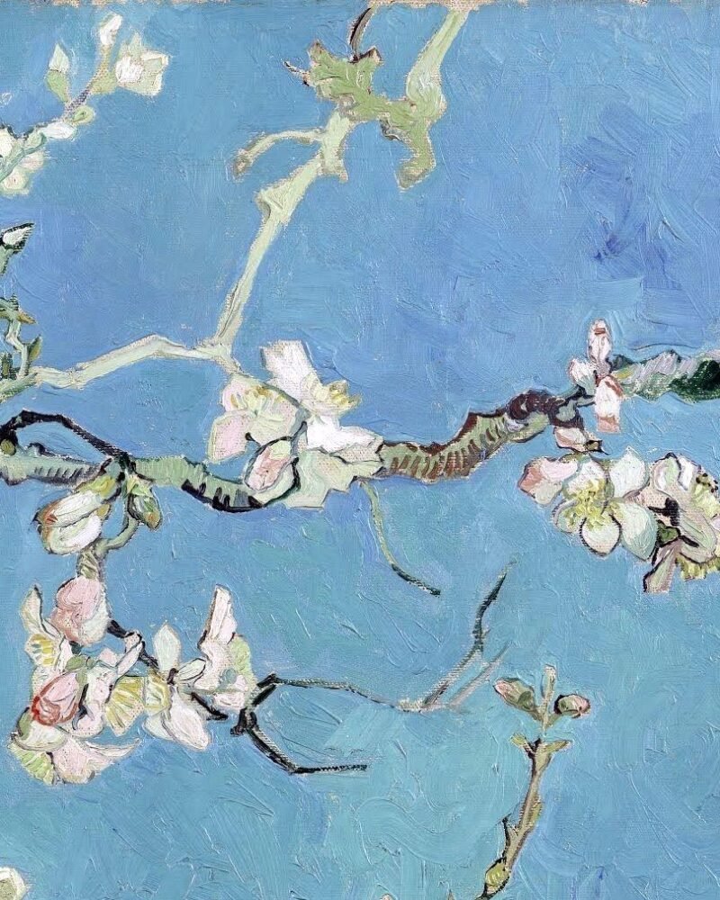 journey 3 almond blossom detail